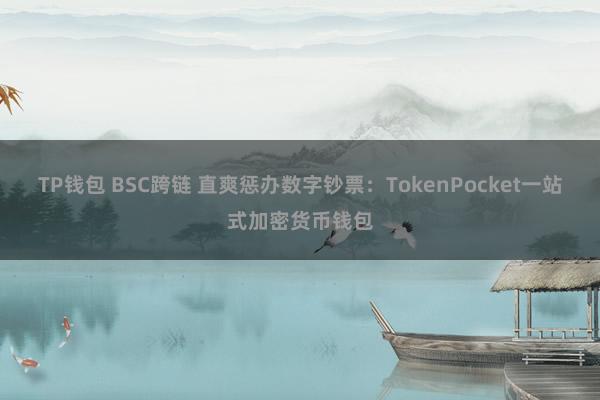 TP钱包 BSC跨链 直爽惩办数字钞票：TokenPocket一站式加密货币钱包